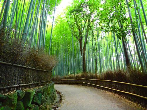 HOTEL ARROWS ARASHIYAMA