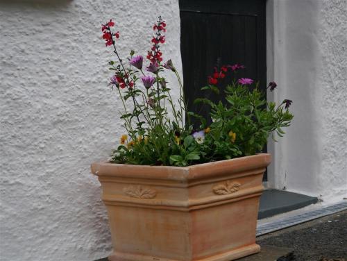 Granston Cottage - image 5