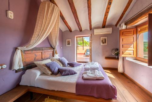 Suite, junior, terraza