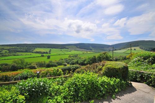 Forest Cottage, , Mid Wales