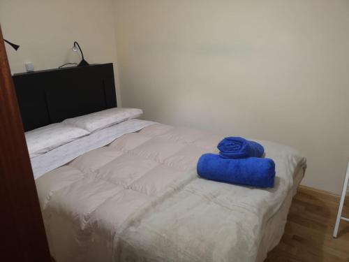 APARTAMENT DE LA LALI ESCALÓ