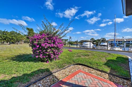 Everglades Studio with Marina View, Patio and Pool Access in Everglades City (FL)