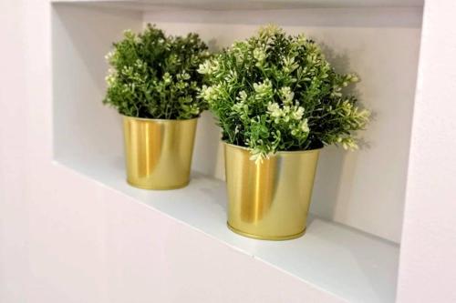 STUDIO SAINT-ROCH STUDIO SAINT-ROCH