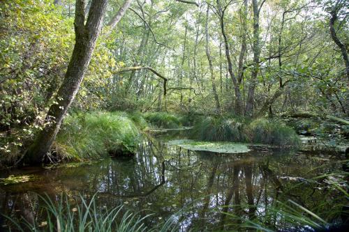 La Cabanote La Cabanote
