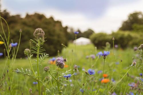 Fernhill House Hotel & Gardens