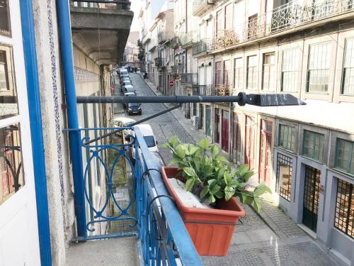 Clérigos Apartments, Porto (fotografie 6)