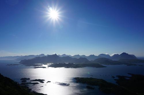 Knut Ellingsen Knut Ellingsen