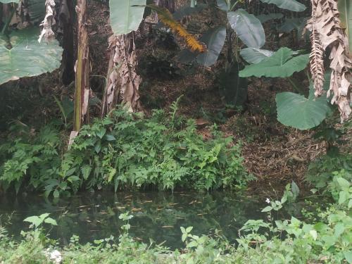 jardin consentido in jardin colombia