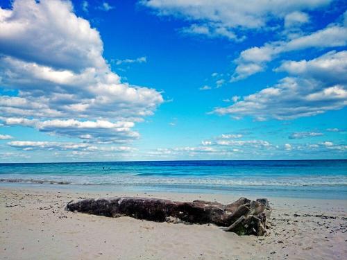 yumekiko kitakaruizawa 2032 5260 tsumagoi japan jp 377 1412 country inn motel 2644 southwest loop 4