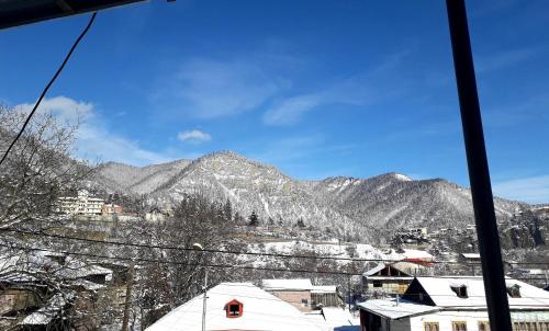 Guest House Metreveli