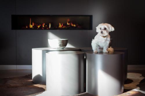 relexa hotel München - image 3