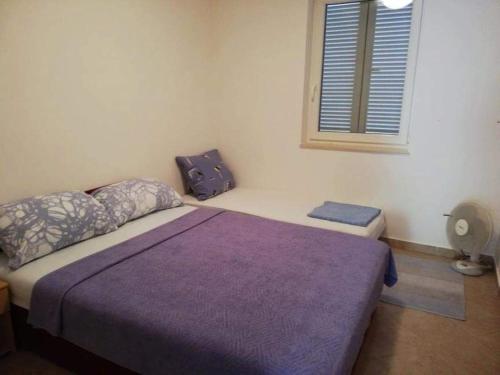 APARTMENTS LAZIC