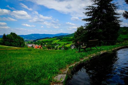 Ferienwohnung Sonnenaufgang - Maierhof in Oberried (Bauernhof Wandern im Schwarzwald) - [#125219]