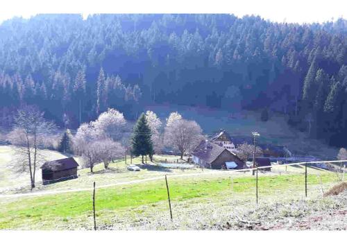 Ferienhaus Schwarzwald Seewald Erzgrube Badesee 100% Natur - Seewald