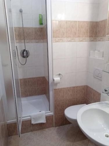 Hotel Bílý Koníček - image 4