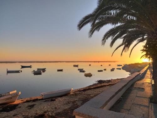 Vivenda Luz e Lúdica