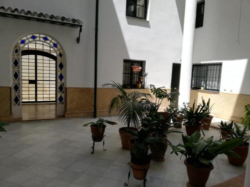 Apartamento en la Judería de Sevilla, Sevilla (Foto 8)