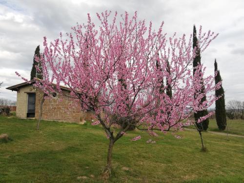 Agriturismo Podere Bianca Maria