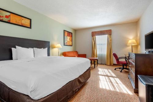 Quality Inn - Accommodation - Sarnia