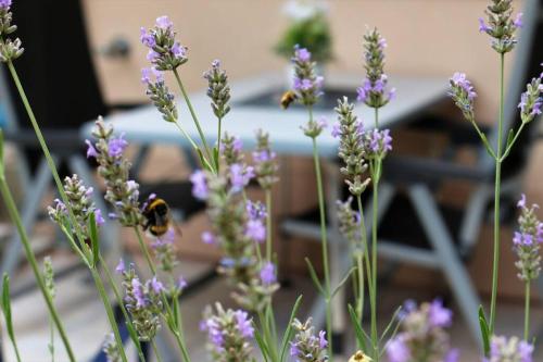 陽台/露台, Kuschelige Ferienwohnung nahe Kronach in 克羅納赫