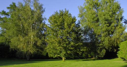 Kert, Hotel Celisol Cerdagne in Bourg-Madame