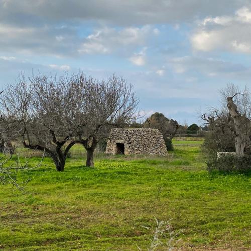 Tenuta alla Castellana