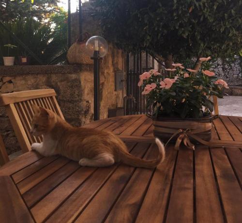 Cascina S.Lucia gîte à louer Palazzolo Acreide