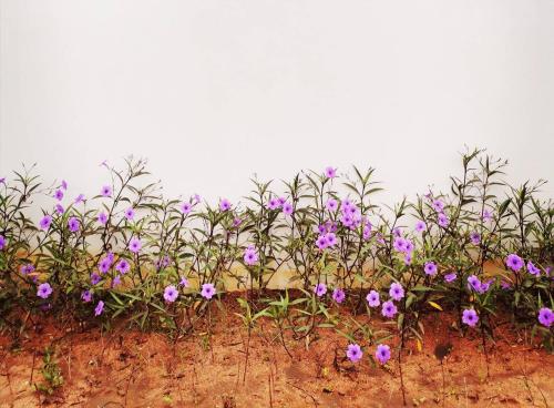 Nararin Garden House - 숙소 외관