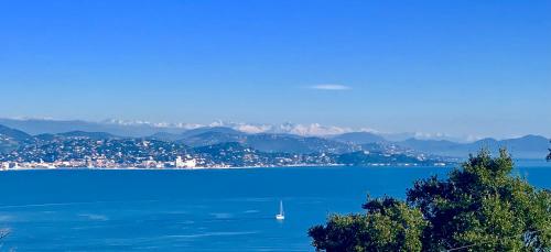 Villa with Magic view of Bay of Saint Tropez Villa with Magic view of Bay of Saint Tropez