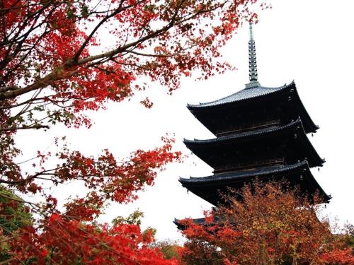 周辺観光スポット