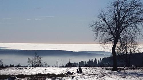 Hotel Winterberg Resort - image 12