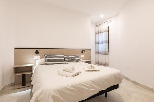 Apartment - Ground Floor with Disability access image 5