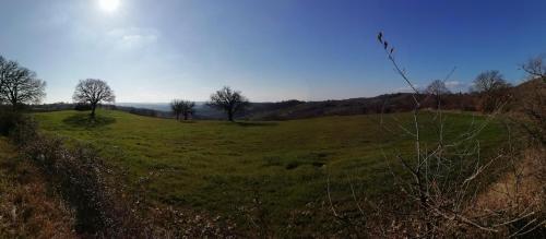 B&B Maremma's dream - image 3