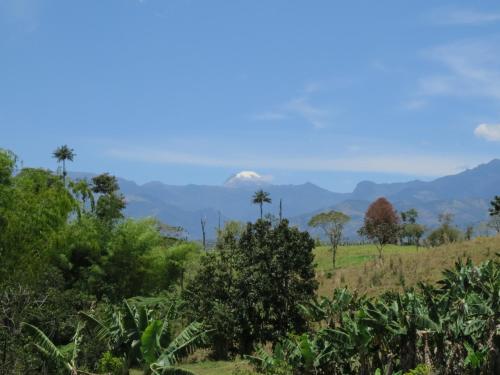 Finca El Topacio Circasia-Quindio