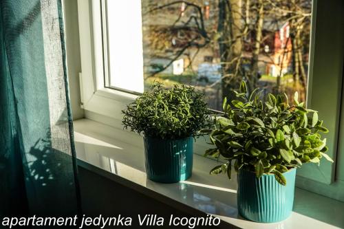 Apartament Jedynka Villa Incognito, Шклярска-Поремба (фото 3)