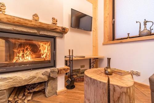 Przedsionek Tatr, Zakopane (photo 8)