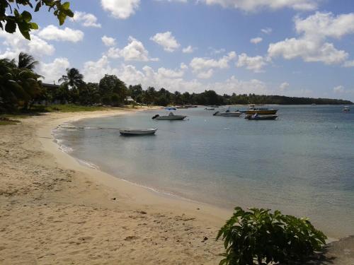 le temps d'une île