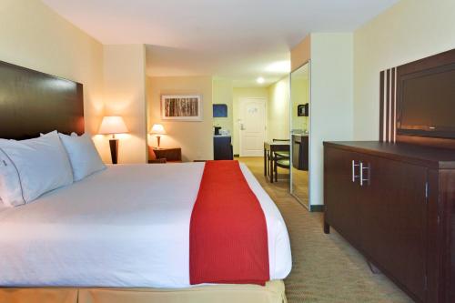 Holiday Inn Express Hotel & Suites Hamburg