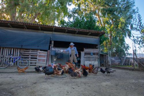 Loukas Farm House