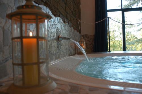 Hotel Villa Clementina - image 8