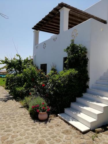 Vina Beach Hotel - image 5