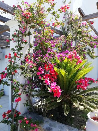Vina Beach Hotel - image 6