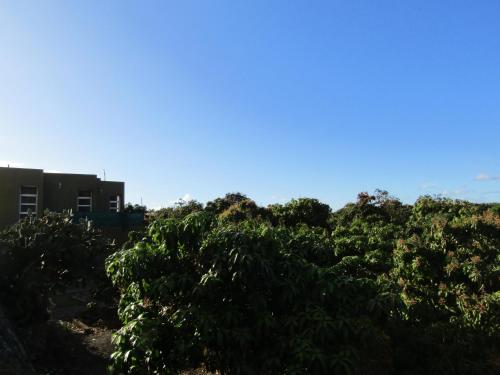 APARTMENTS ON AN ORGANIC FARM BY THE COAST Frontera - image 8