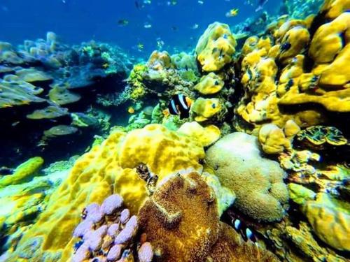 DAYA hill seaview in Ko Lipe