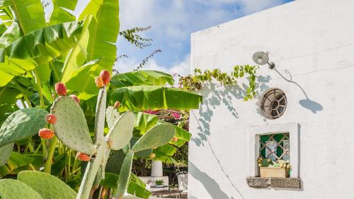 Casa Dogana Vecchia