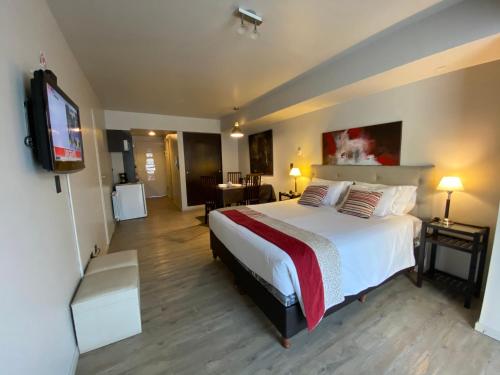 460 LOFT Apartments in 산 카를로스 데 바릴로체