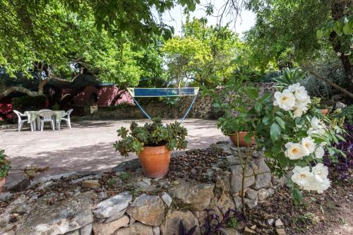 Casa Do Forno - Quinta Amoreira - image 11