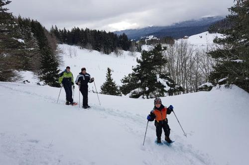 STUDIO CHALEUREUX aux pieds des pistes de ski des Glovettes