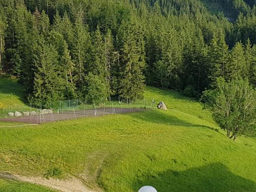 STUDIO CHALEUREUX aux pieds des pistes de ski des Glovettes