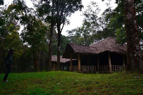 900 Woods Wayanad Eco Resort